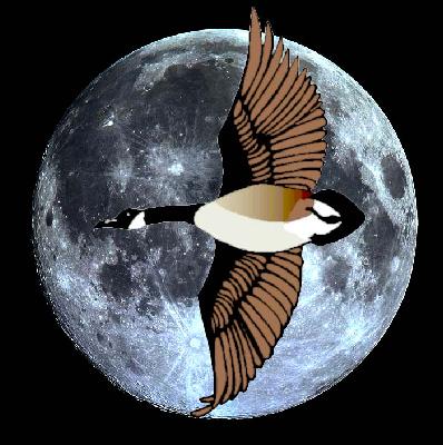moonbird.jpg (35153 �o�C�g)